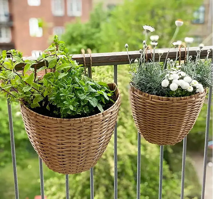 Kurve med ophæng af rattan i brun 2 stk vist hængende på altan gitter