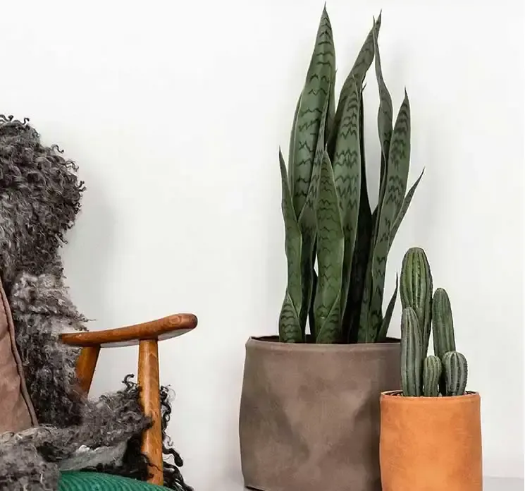 Potteskjuler af læder i grå vist i miljø med kunstig plante