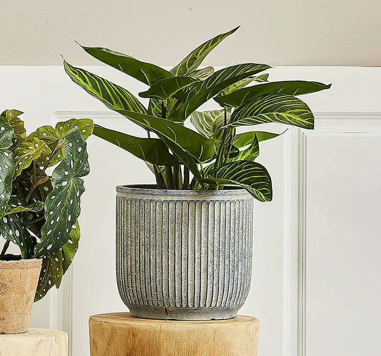 Calathea kunstig plante i sort potte af plast i grøn vist i stuemiljø