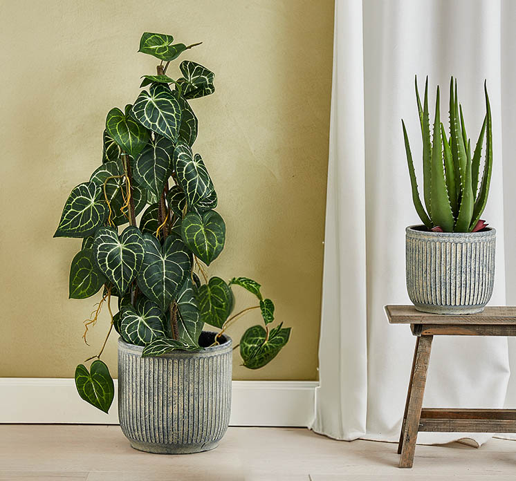 Kunstig krystal blad plante opbundet af plast i sort potte vist i miljø med cementkrukke