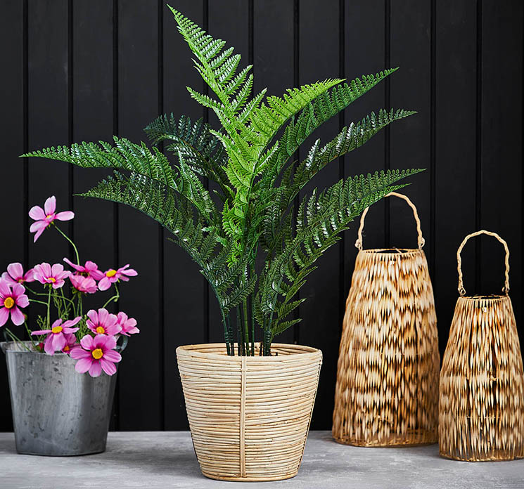 Kunstig bregne plante i potte af plast uv beskyttet vist i terrassemiljø med lanterner