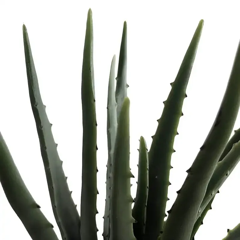 Aloe Vera-växt i kruka, 35 cm, konstgjord växt I