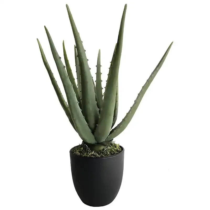Aloe Vera-växt i kruka, 35 cm, konstgjord växt I