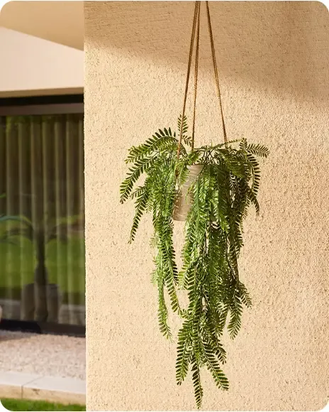 Bregne plante af plast med uv-beskyttelse vist hængende på terrasse