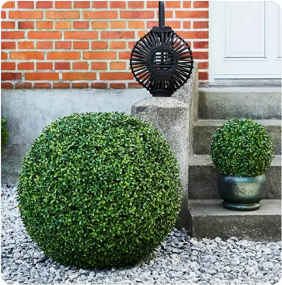 Buksbom bold i grøn af plast uv-beskyttet vist i udendørs miljø