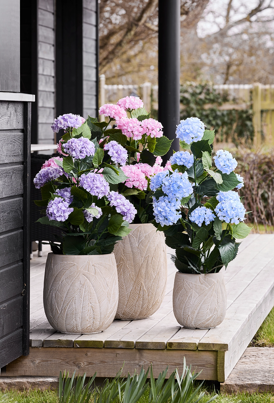 Brøndsholm - Hortensia i potte - UV beskyttet