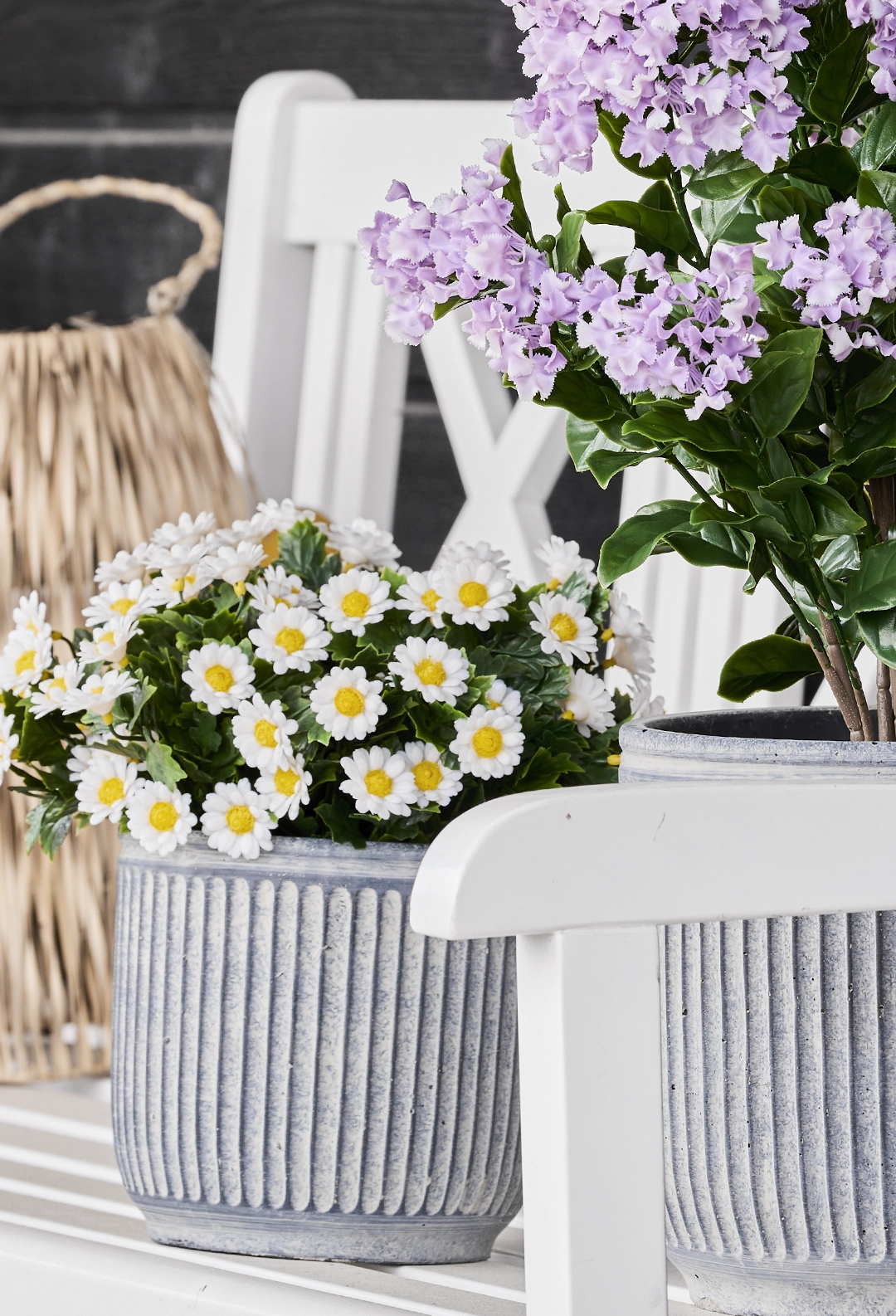 Brøndsholm - marguerit buket - UV beskyttet