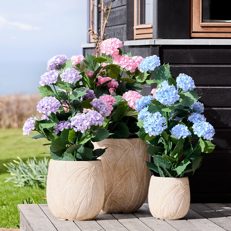 Brøndsholm - Naturtro hortensia i potte - UV beskyttet