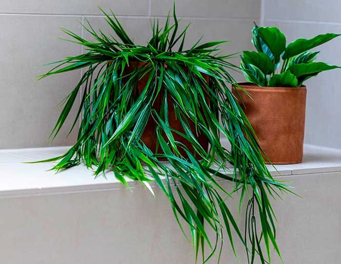 Naturtro kunstige planter i badeværelset