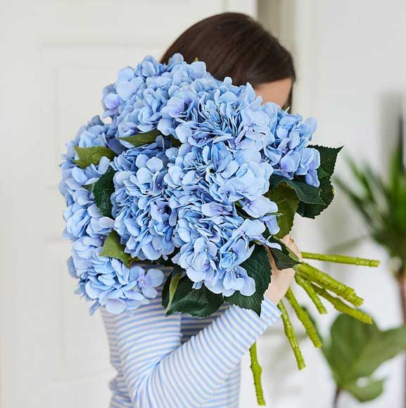 Blå hortensia bundt