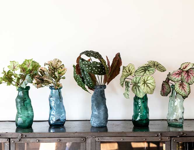 Række af små, glasvaser med naturtro planter