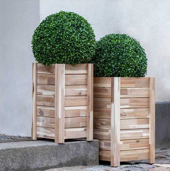 Buksbom bolde til udendørs