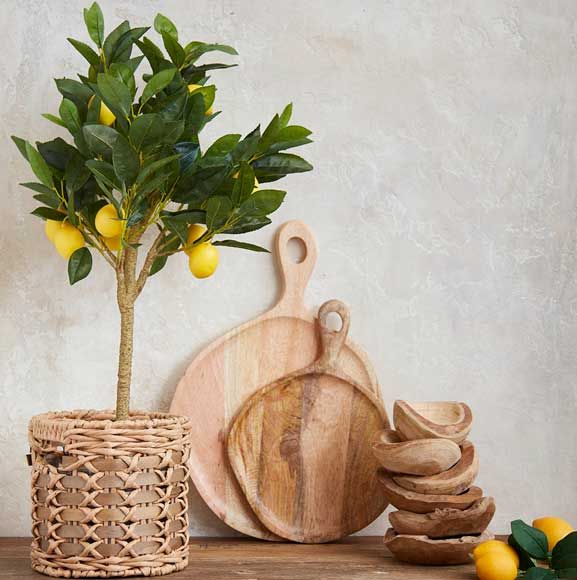 Mini citrontræ i fletter krukke med træfad