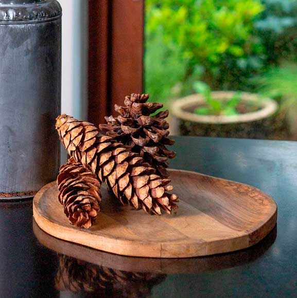 Dekoration med naturlige kogler på træfad