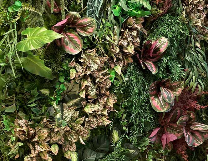 Plantevæg med forskellige planter