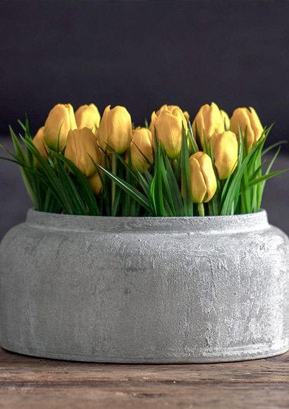 Gule tulipaner i grå vase