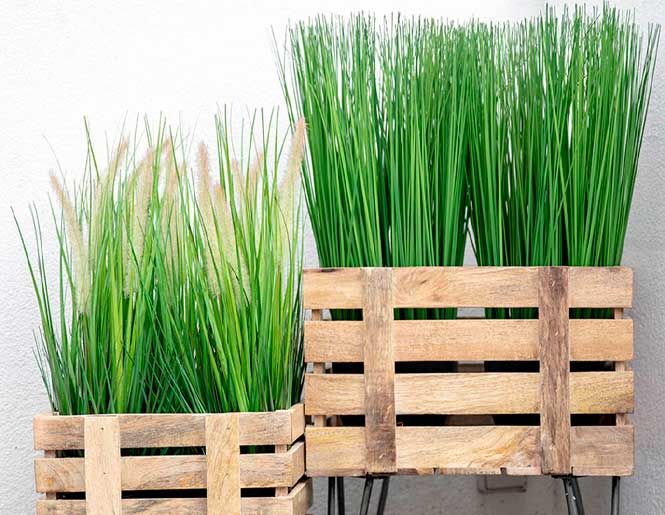 Kunstige græsser i træ kasser