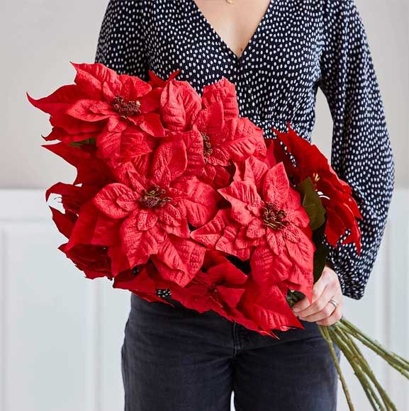 Buket med røde julestjerne