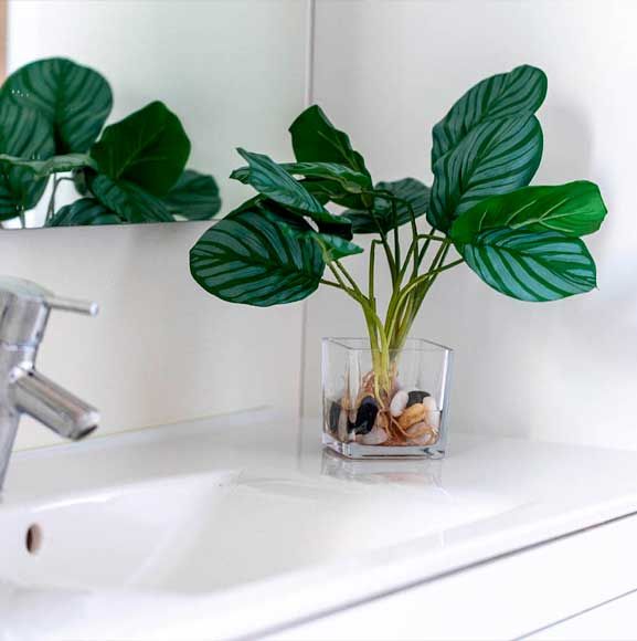 Mini naturtro plante i badeværelset