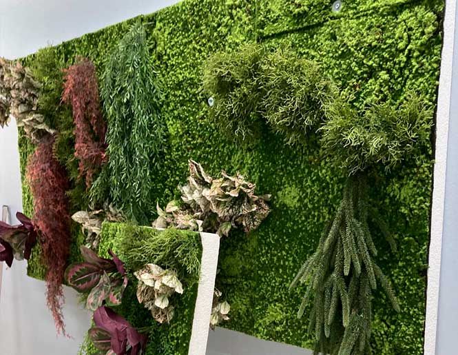 Mosplader på væggen