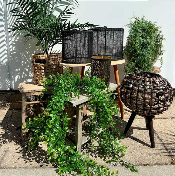 Grønne planter og sorte krukker i haven