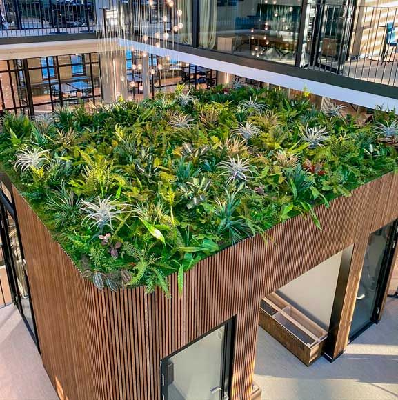 Indendors tag med planter