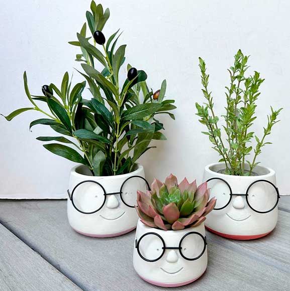 Små planter i sjove krukker