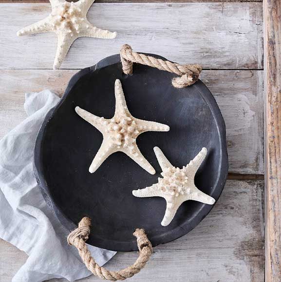 Hvide søstjerner på en sort fad