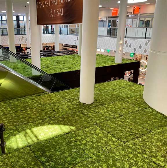 Indendørs tag mes mos plader