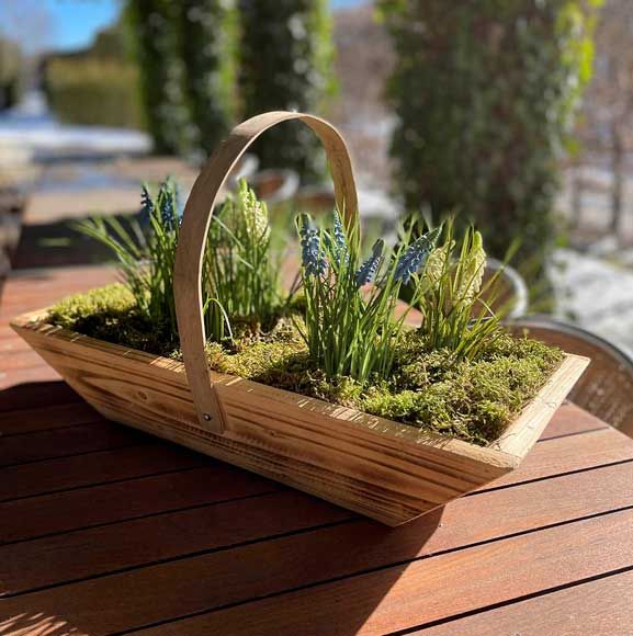 Forårsblomster i borddekoration med mos