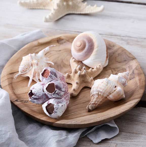 Træfad med strandskaller