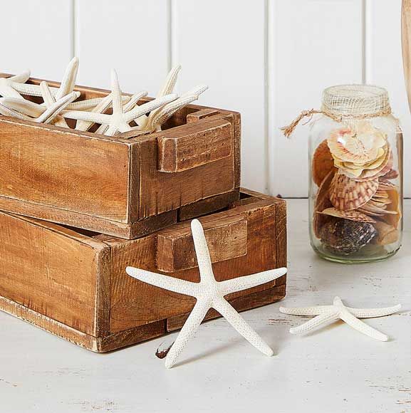 Tynde, hvide søstjerner dekoration