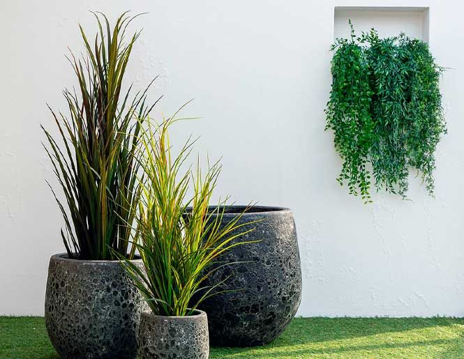 Udendørs planter i store krukker