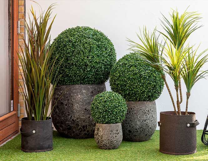 Grønne udendørs planter, uv beskyttet