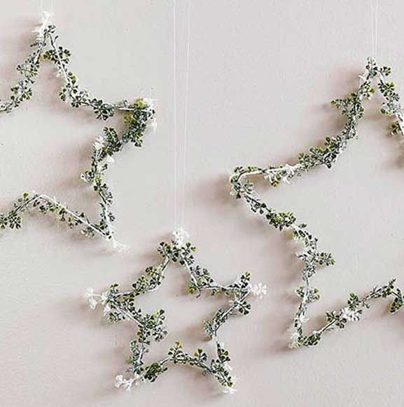 Vinter stjerne dekoration