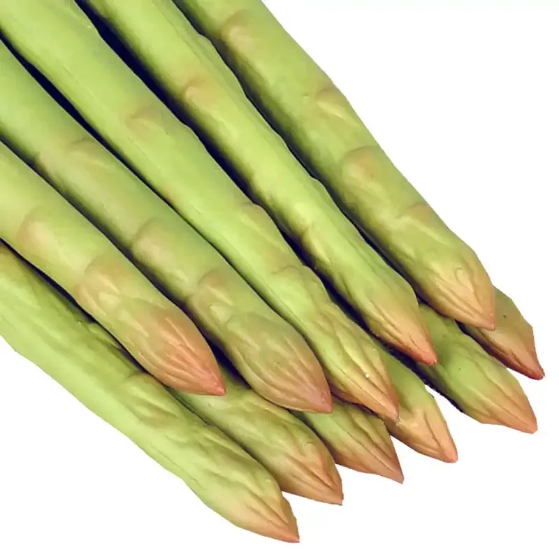 Bundt med 12 asparges - naturtro kunstige madvarer