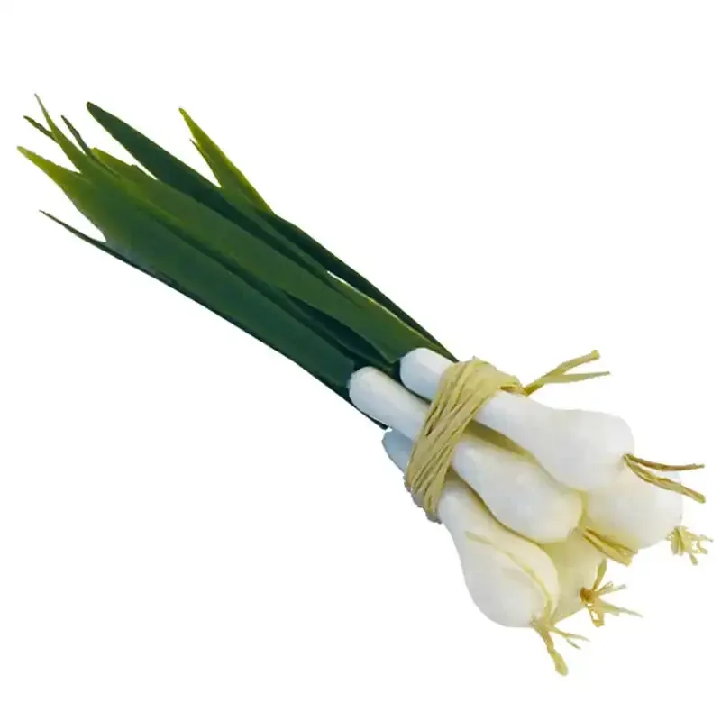 Bundt med forårsløg - kunstige fødevarer til display og deko