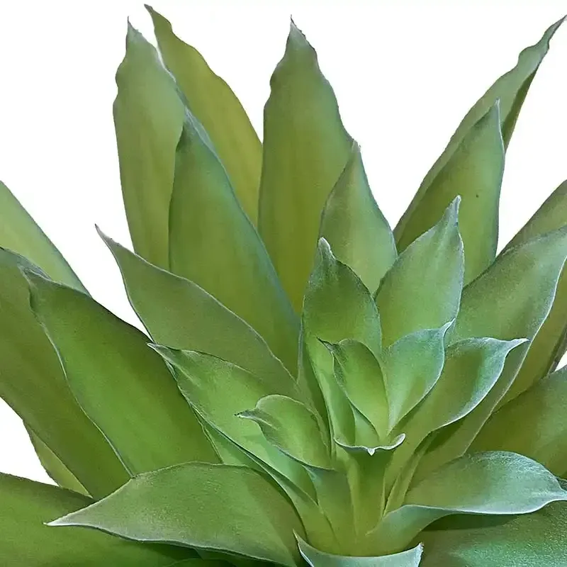 Buy Agave plante i potte, 40cm. UV, kunstig plante