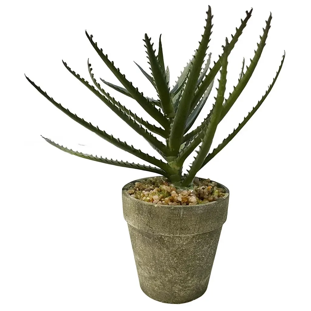 Buy Aloe vera i potte, 18cm, kunstig plante