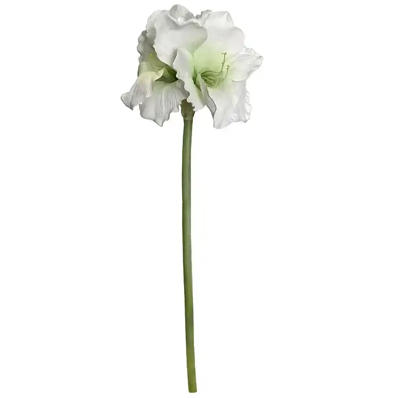Buy Amaryllis, hvid, 99cm, kunstig blomst