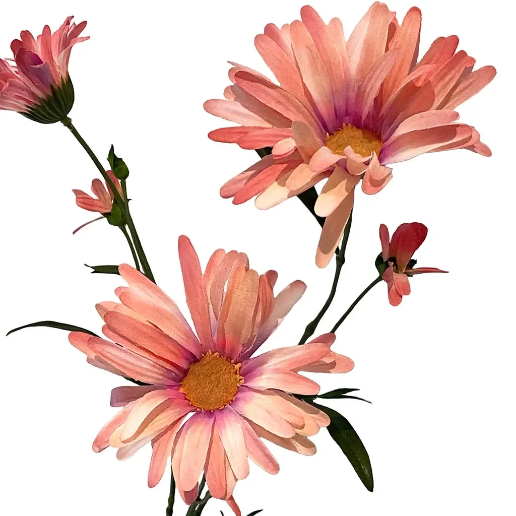 Buy Asters på stilk, fersken, 70cm, kunstig blomst