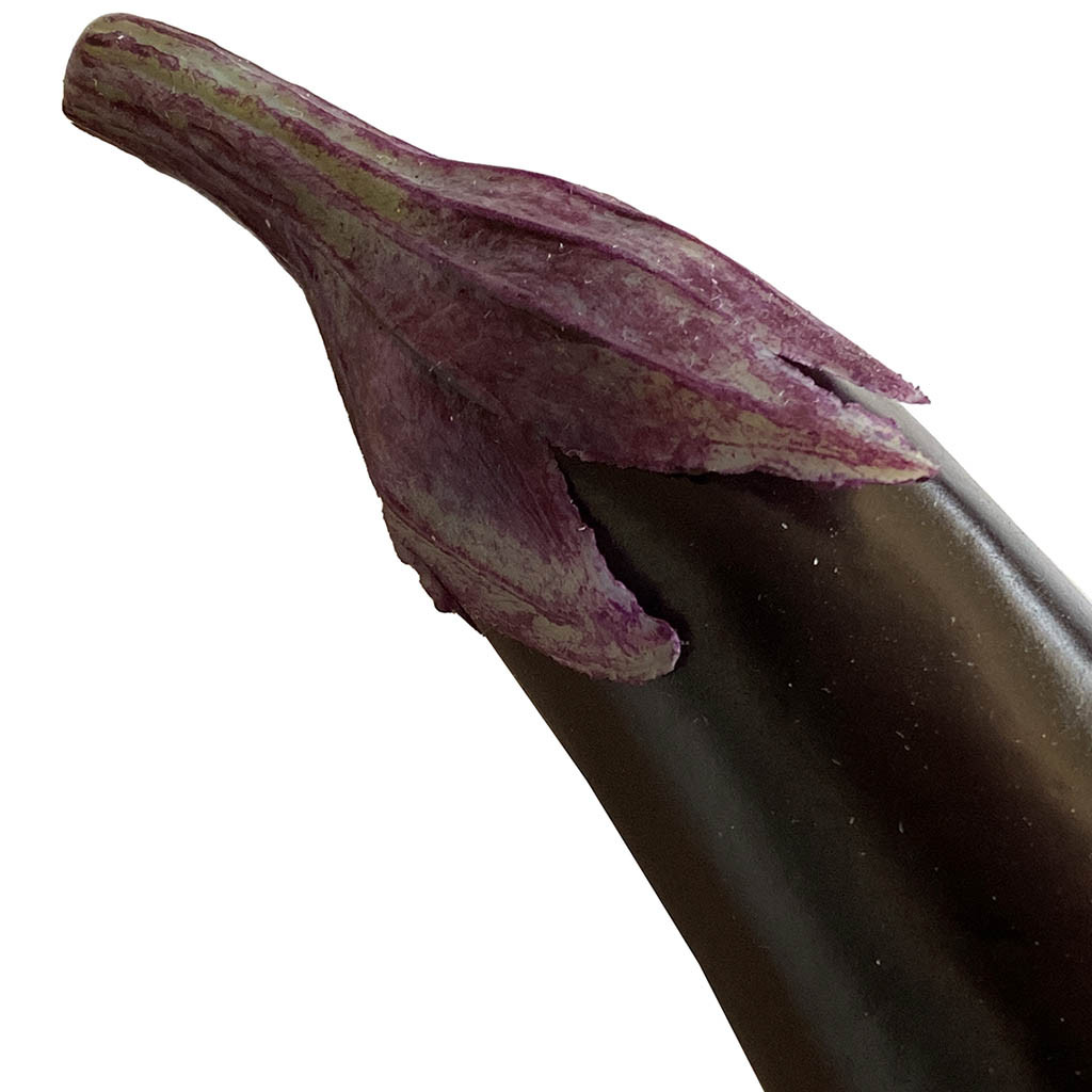 Buy Aubergine, 18cm, kunstig mad