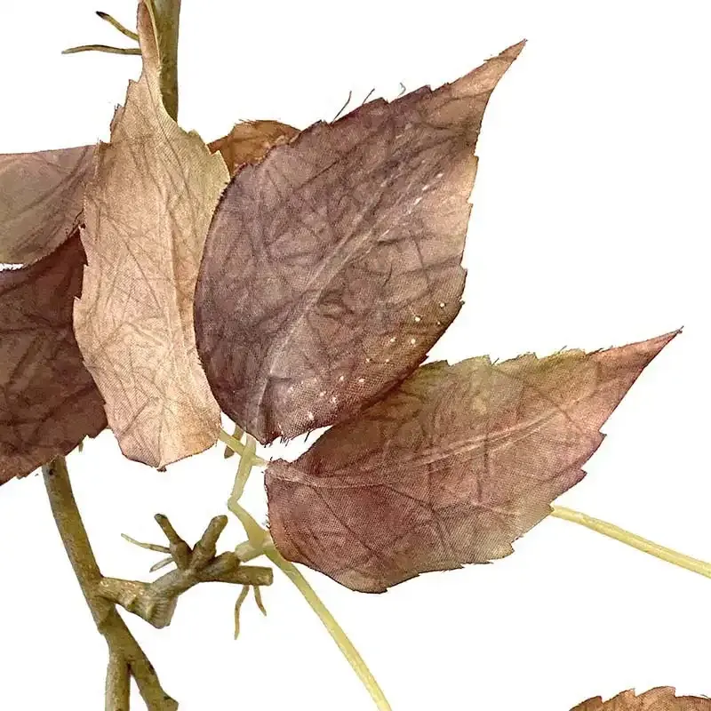 Buy Bøgebladsranke, brun, 122cm, kunstig ranke