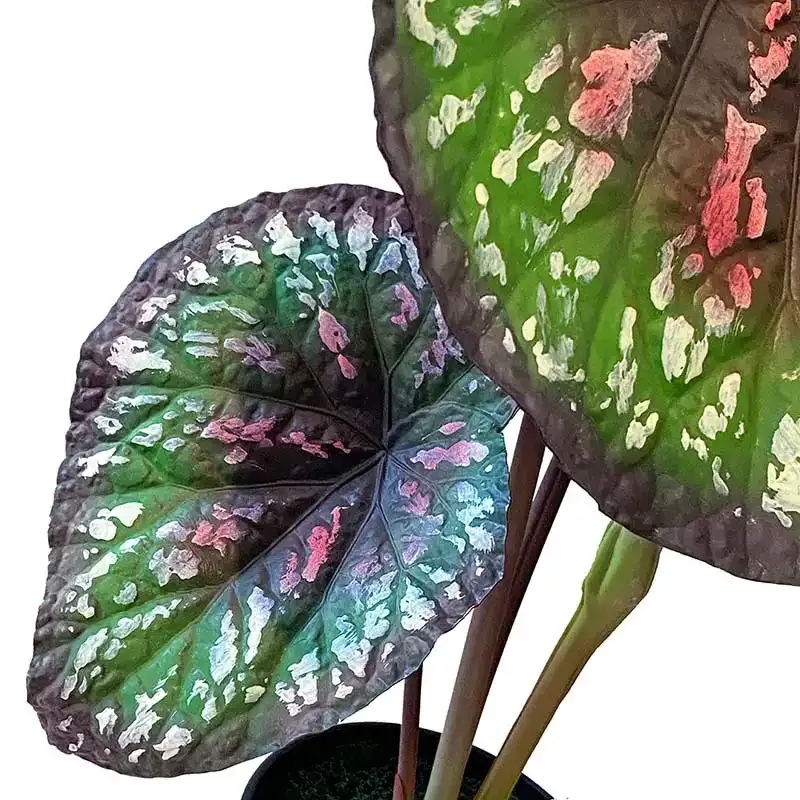 Buy Begonia i potte, 58cm. UV, kunstig plante