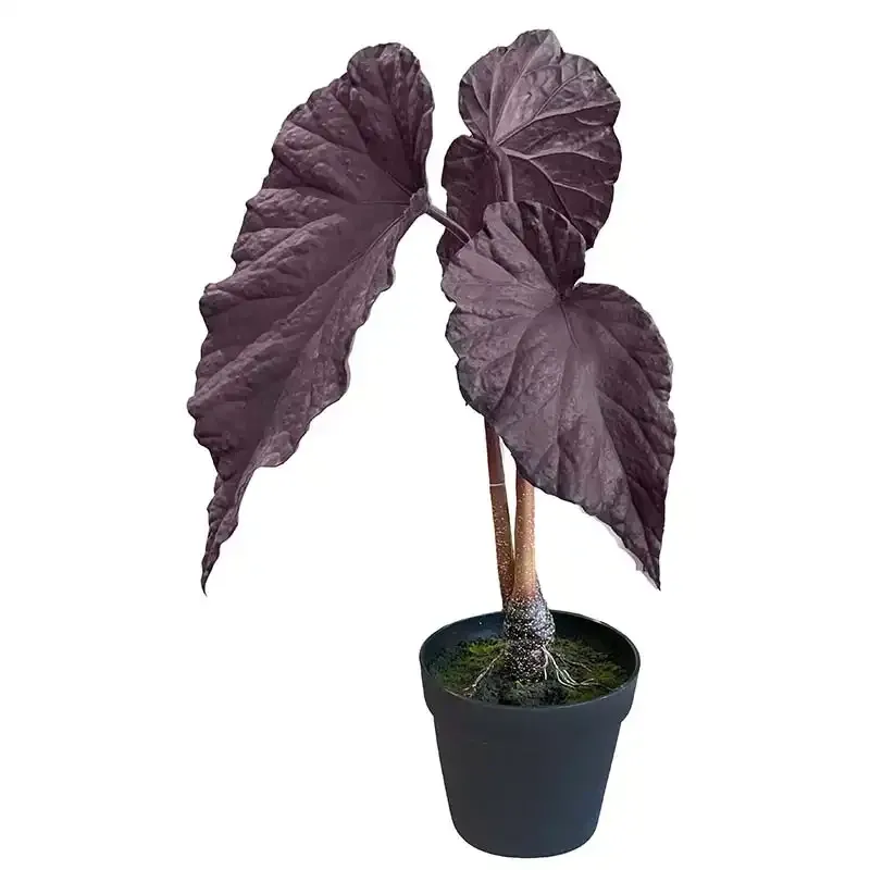 Buy Begonia i potte, 81cm. UV, lilla, kunstig