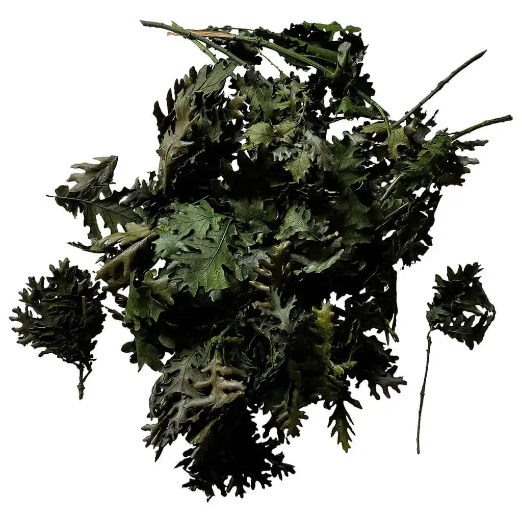 Buy Blade, ægte egetræsblade, grøn, 200g