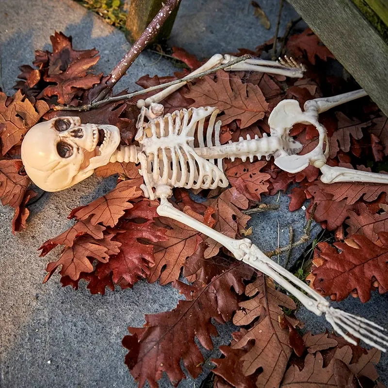 Buy Blade, ægte egetræsblade, orange, 200g