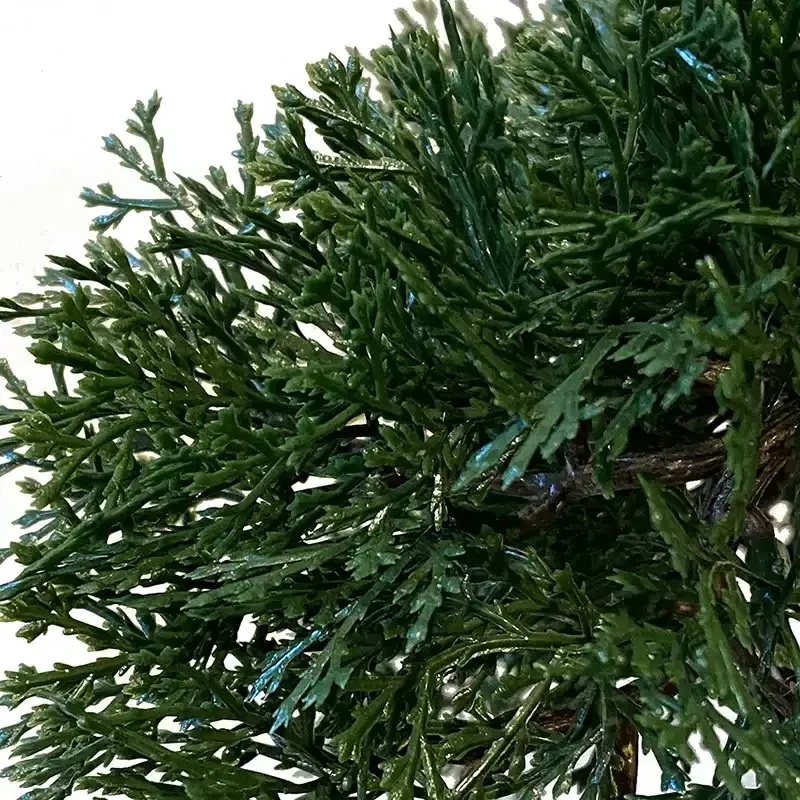 Buy Bonsai træ i brun oval potte, 32cm, kunstig