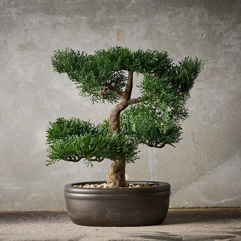 Buy Bonsai træ i brun oval potte, 32cm, kunstig