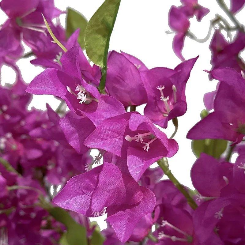 Buy Bougainvillea, 145cm, kunstig træ